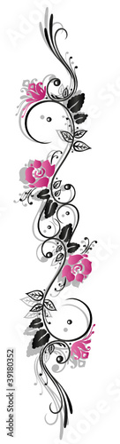 Rosen, Ranke, flora, Blumen, Blüten, schwarz, pink