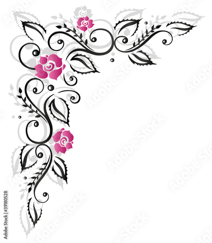 Rosen, Ranke, flora, Blumen, Blüten, schwarz, pink