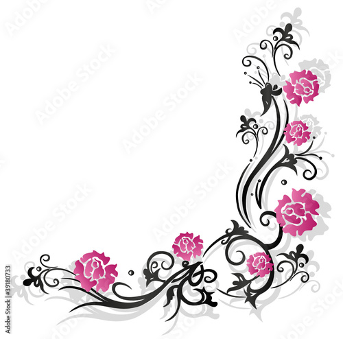 Rosen, Ranke, flora, Blumen, Blüten, schwarz, pink