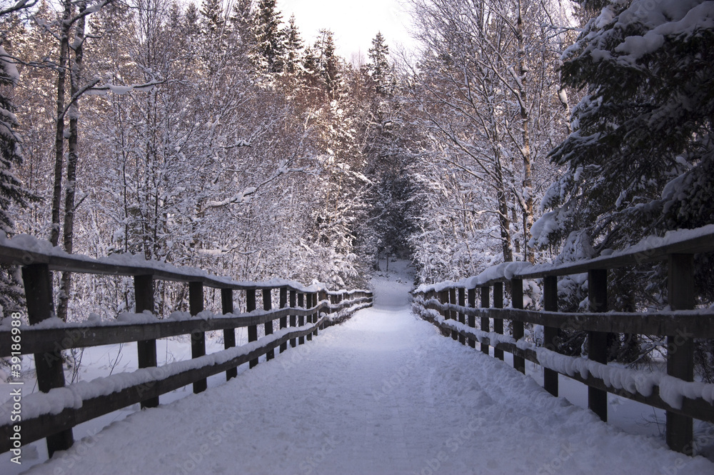 Scenic view in winter Scenic view in winter