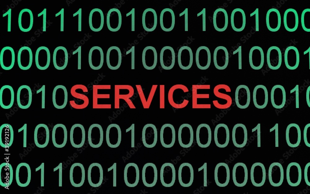 E-Services E-Services