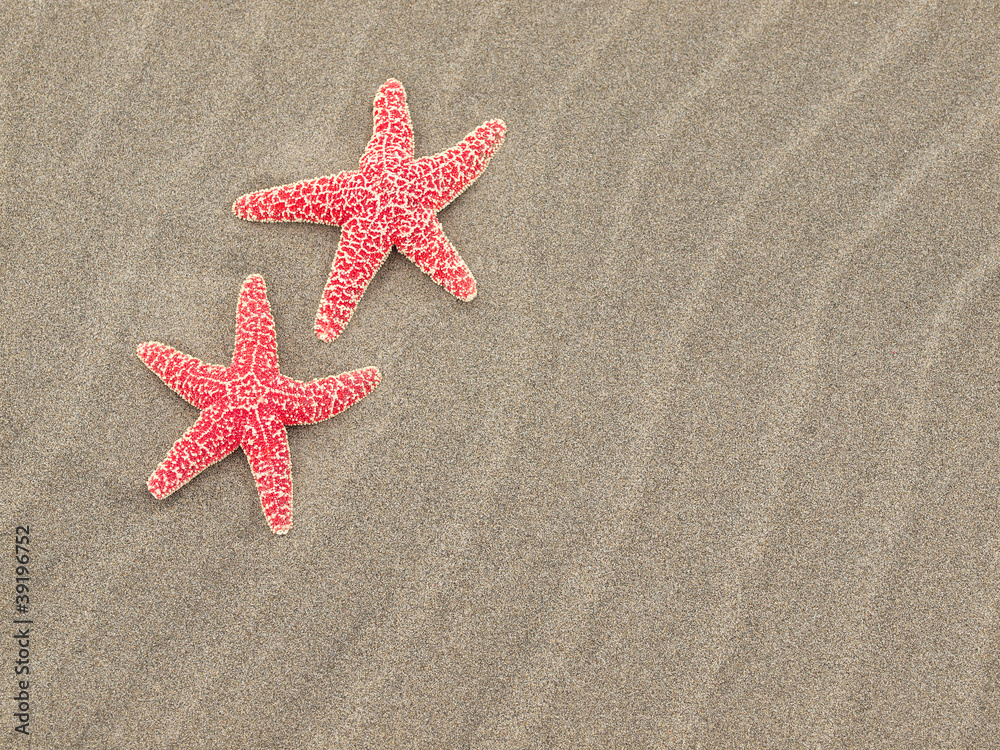 Two Red Starfish on the Beach with Windswept Sand Ripples Two Red Starfish on the Beach with Windswept Sand Ripples