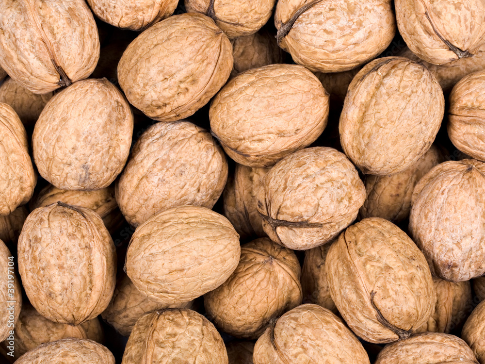 Walnut background. Studio macro Walnut background. Studio macro