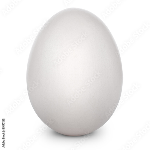 White egg isolated on white background + Clipping Path .