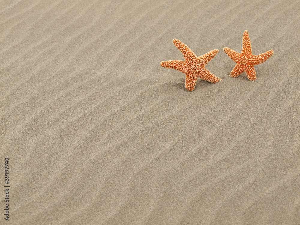 Two Starfish on the Beach with Windswept Sand Ripples Two Starfish on the Beach with Windswept Sand Ripples