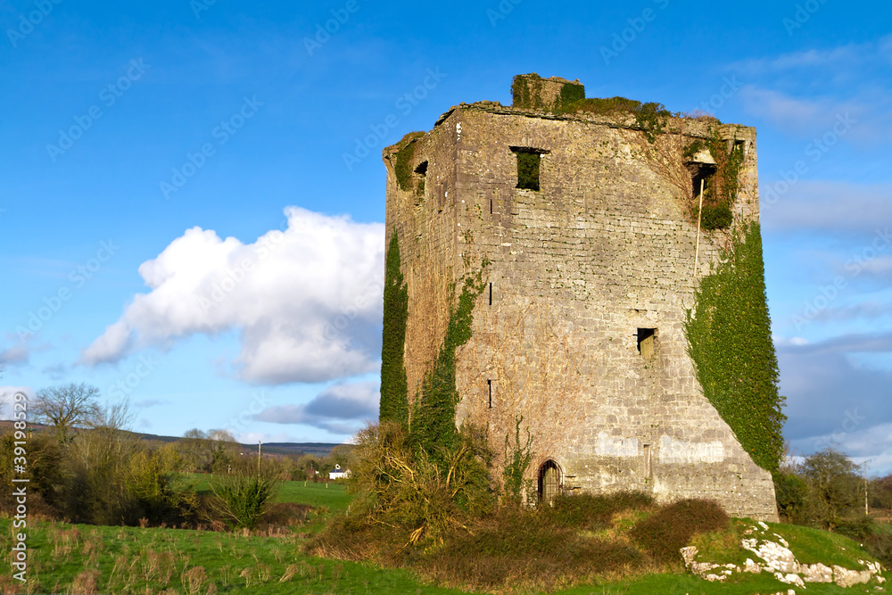 Ruins of old castle near Limerick, Ireland