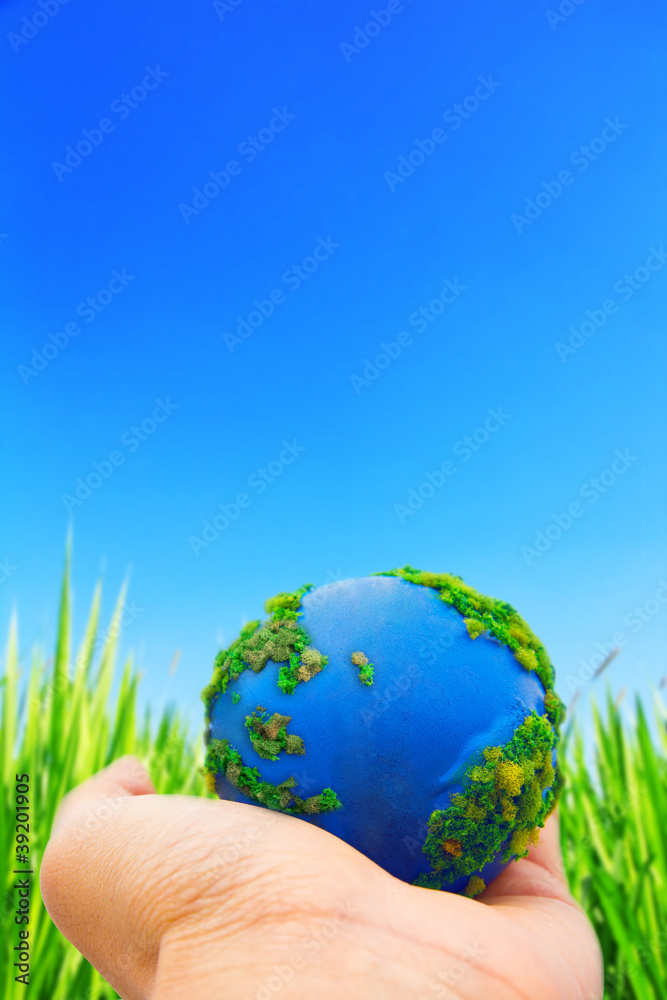 Hands and Earth  Concept Save green planet