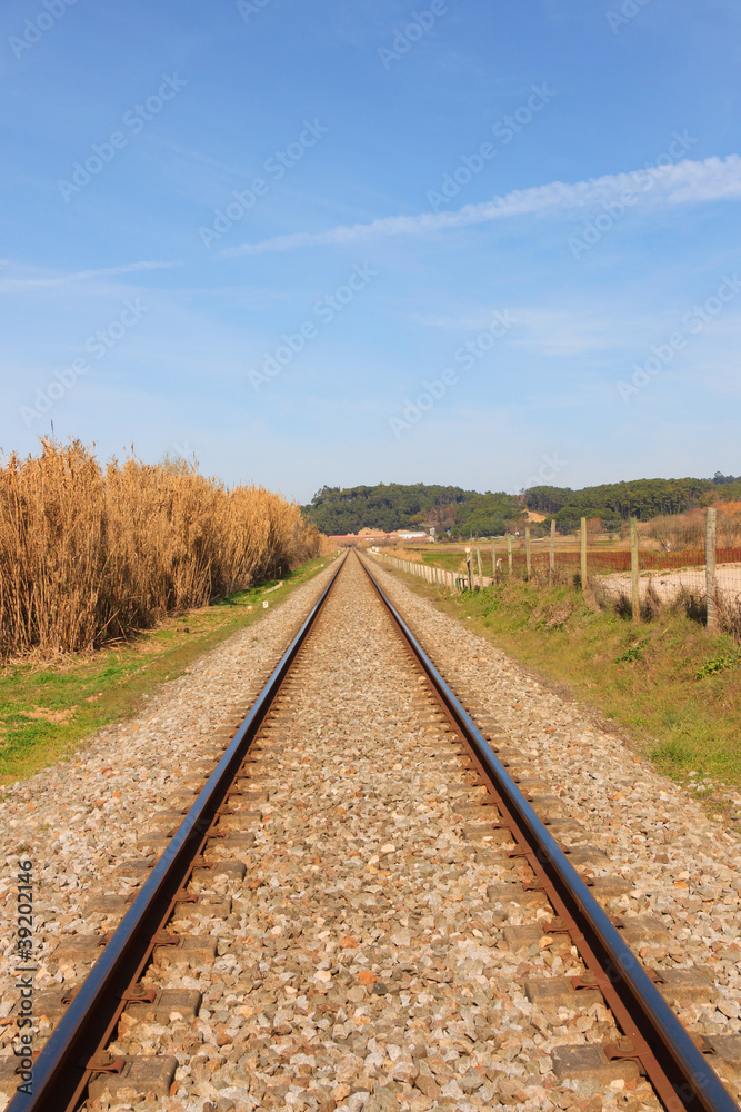Fototapeta premium Landscape of an portuguese railway against forest and blue sky