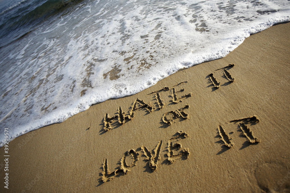 Fototapeta premium Hate it or love it