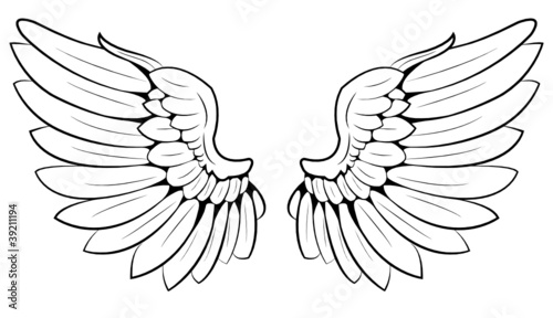 pair of wings