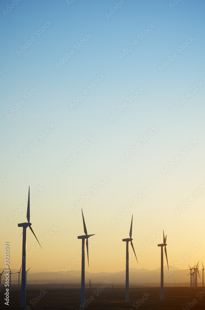 Obraz premium windmills
