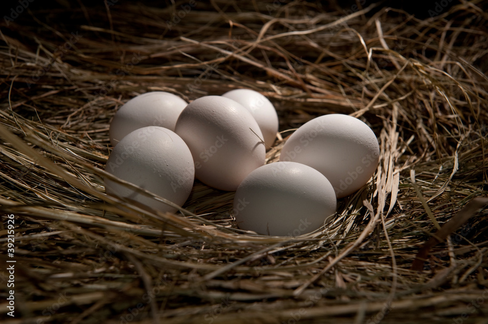 White eggs White eggs