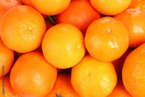 beatiful tangerines closeup