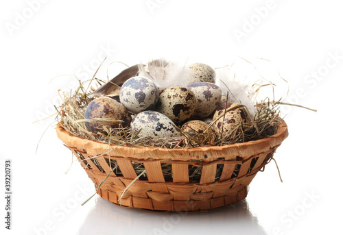 quail eggs in nest isolated on white