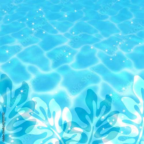 水面とモンステラ