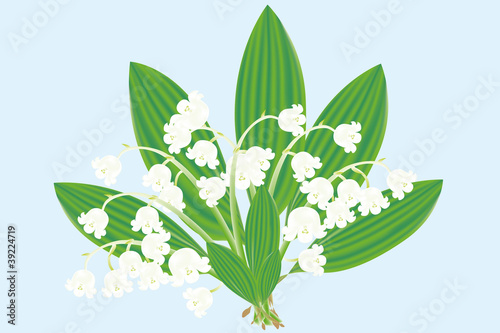 Fototapeta Naklejka Na Ścianę i Meble -  Lily of the valley
