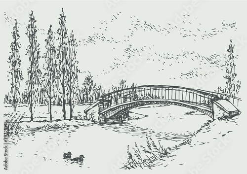 Vector landscape of bridge over the river and poplars
