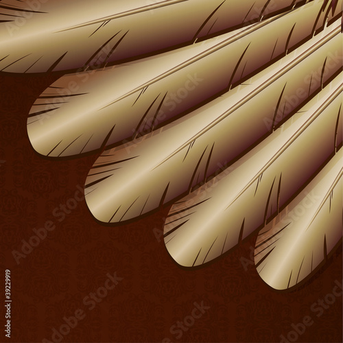 Vector background with golden feathers