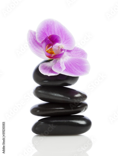 Balanced Orchid Blossom