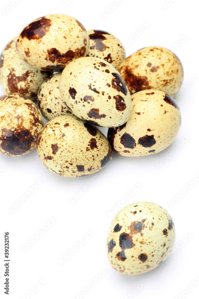 quail egg quail egg