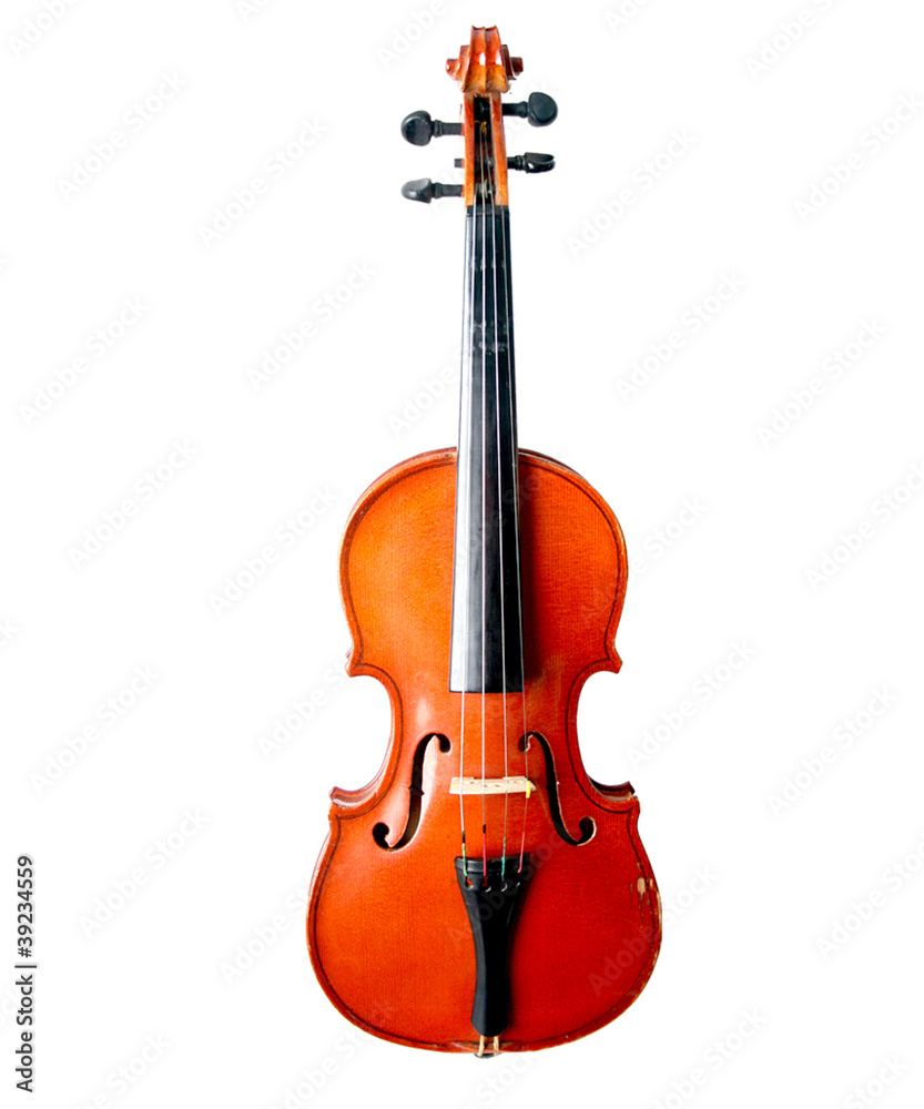 violin