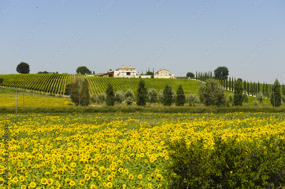 Farm in Umbria