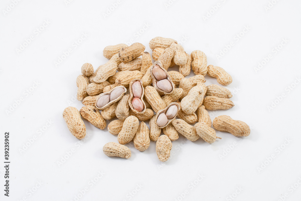 Peanut in group Peanut in group