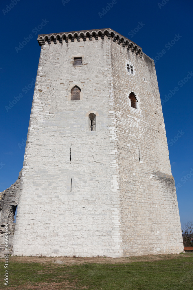 Castillo de Moncade, Orthez, Pirineos Atlanticos, Aquitania, Fra
