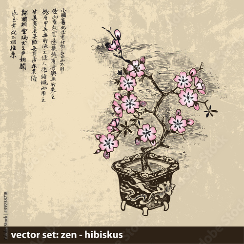 ZEN Hibiskus - Hintergrund - Vektor