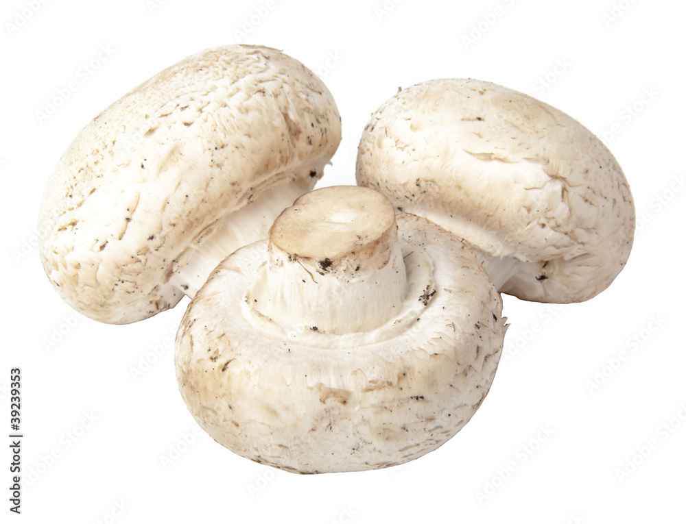 Champignon mushroom isolated on white background Champignon mushroom isolated on white background