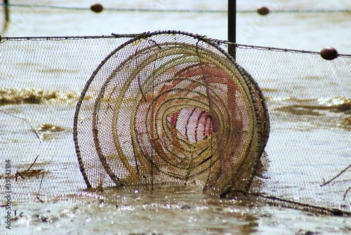 Fischnetz photo