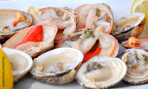 Cockles & smooth clams closeup photo