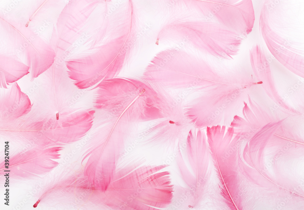 feather feather