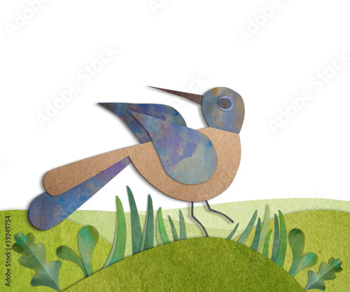 bird