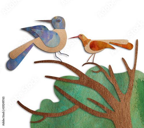 bird