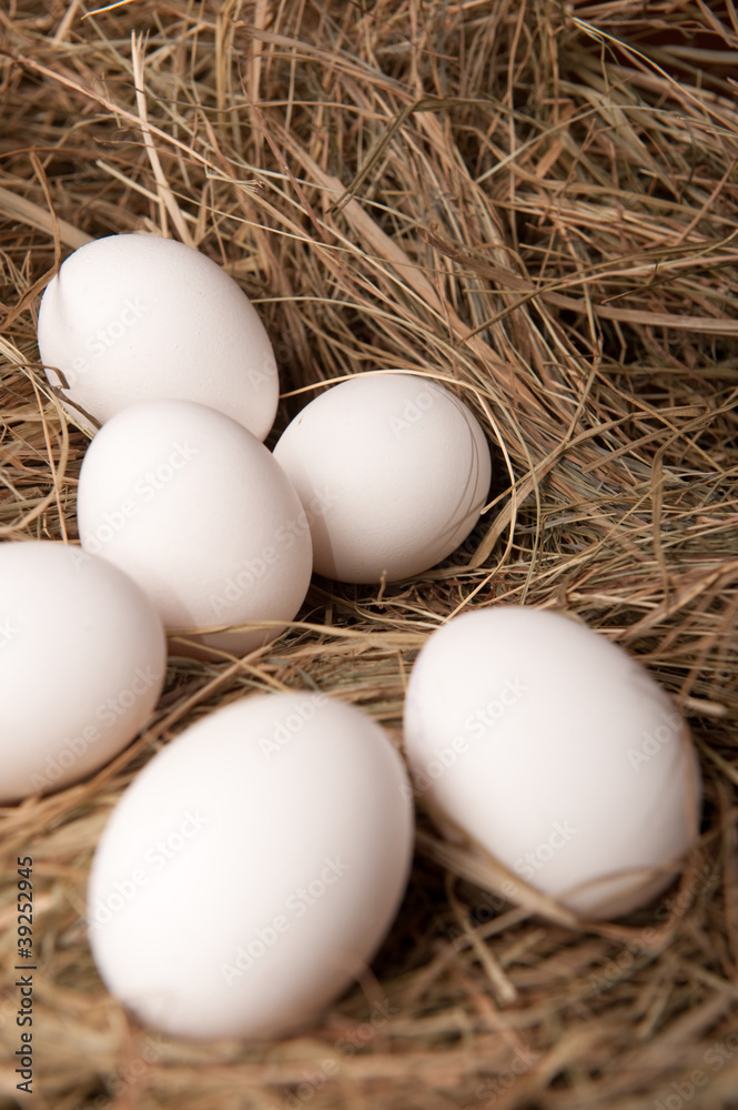 White eggs