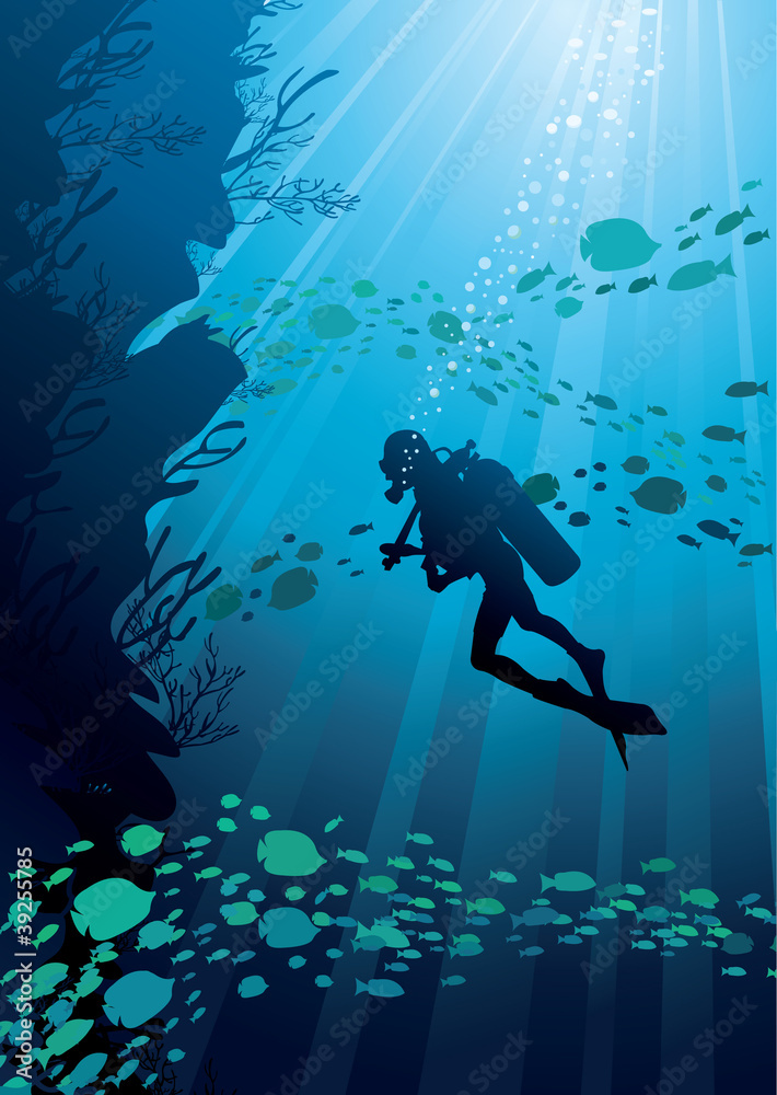 Diver and fishs on the see Diver and fishs on the see