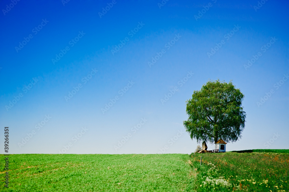Obraz premium Meadow with tree and small chapel