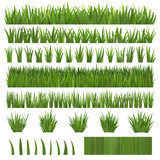 Grass Over White