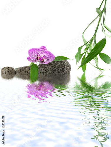 décor zen détente, eau, orchidée, galets, bambou