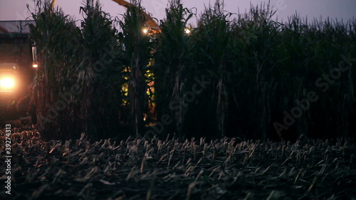 combine harvesting by night photo