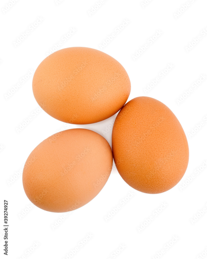 egg