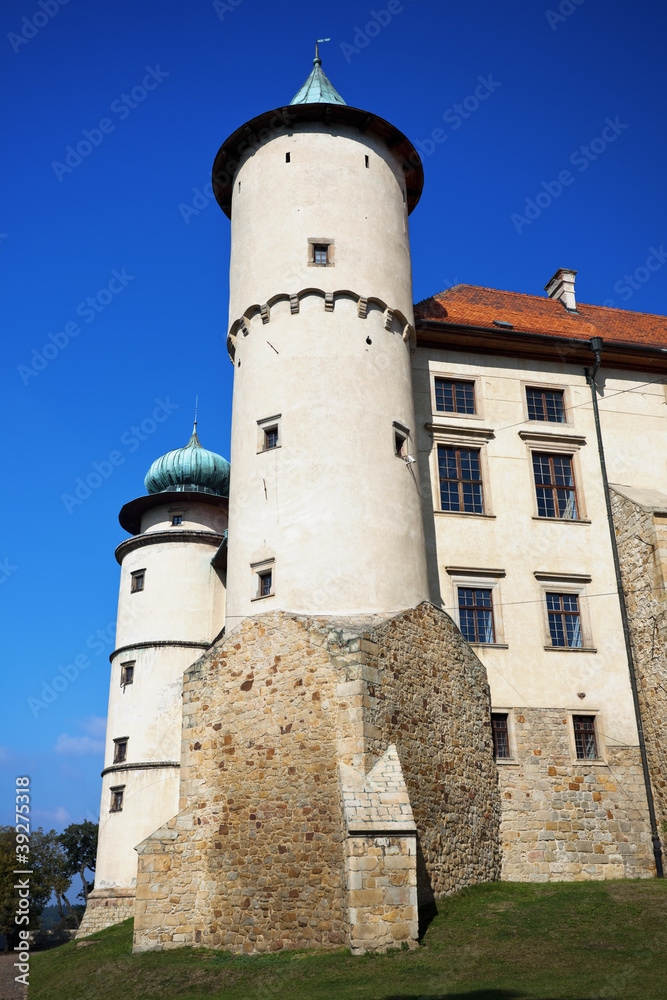 Castle Nowy Wisnicz