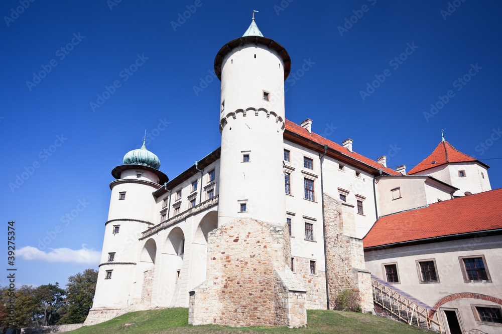 Castle Nowy Wisnicz