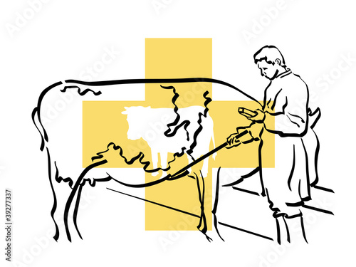 veterinario