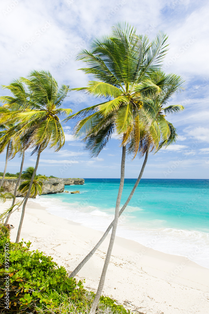 Fototapeta premium Bottom Bay, Barbados, Caribbean