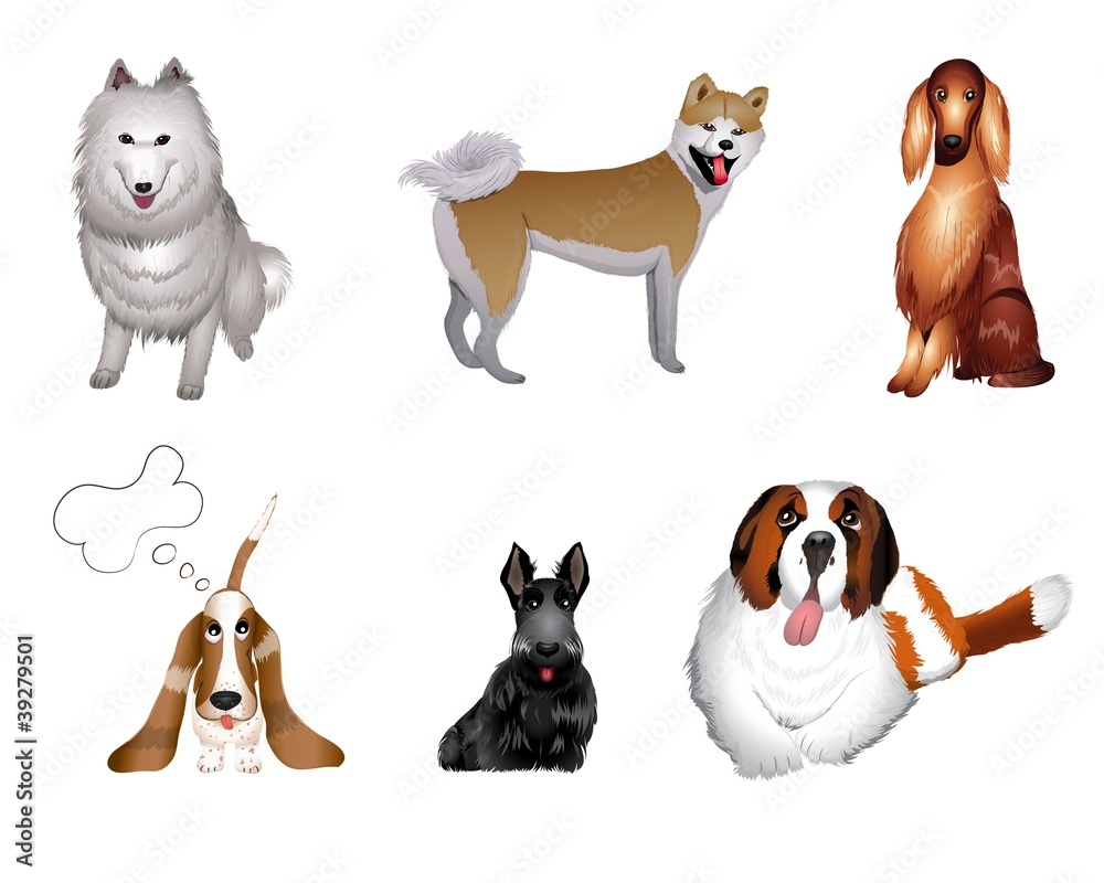 set breeds of dog