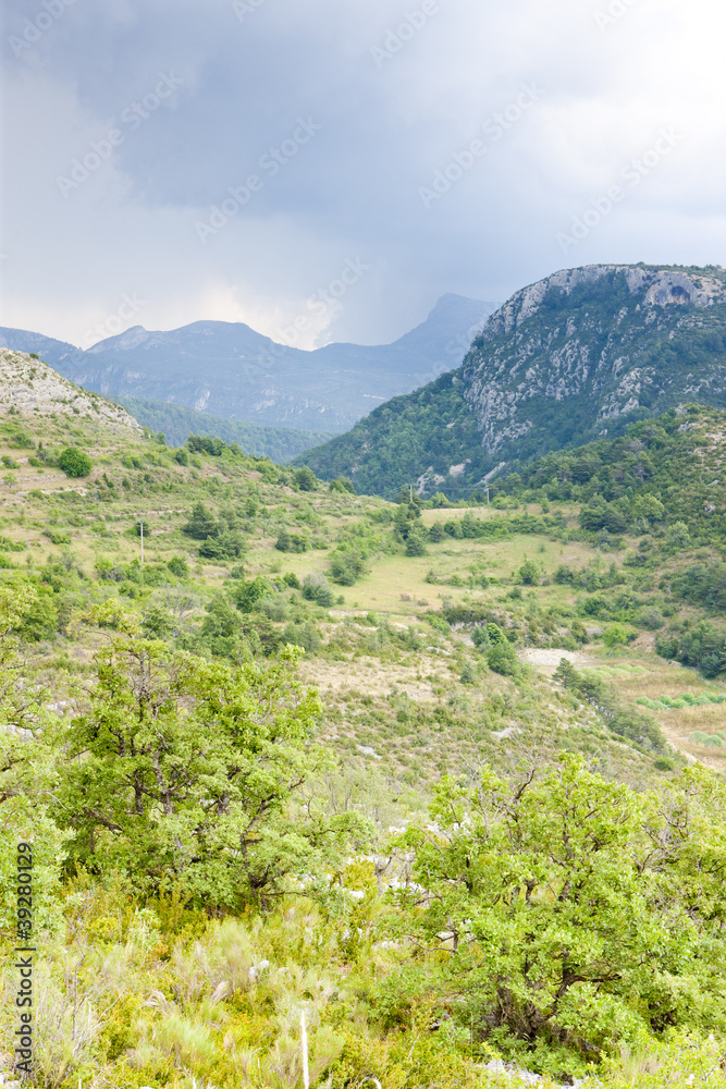 Naklejka premium landscape near Comps sur Artuby, Provence, France