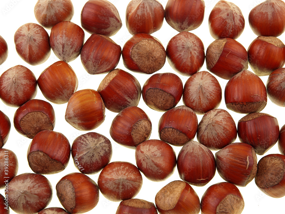 Obraz premium hazelnuts in shell