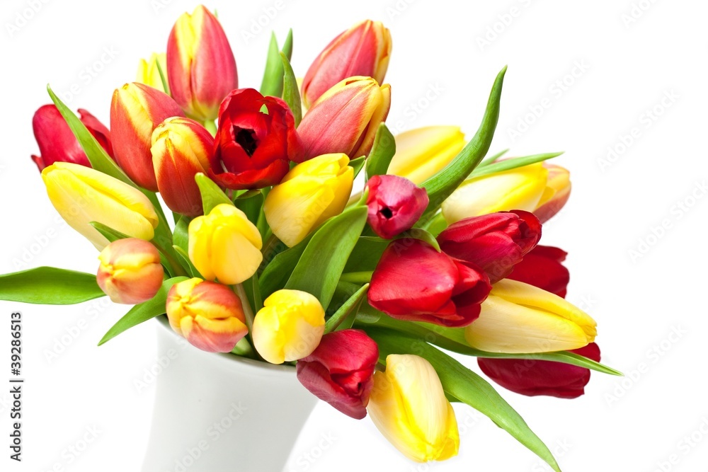 Obraz premium Tulpen